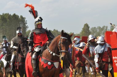Grunwald Savaşı