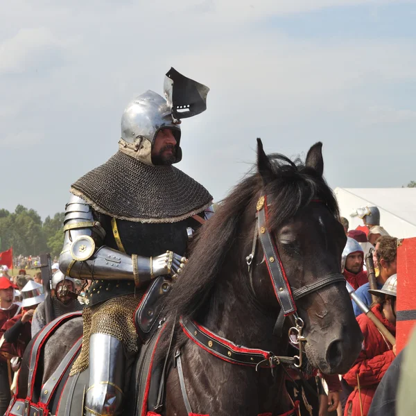 Knight of the Battle of Grunwald — Stock Photo, Image