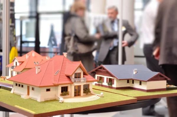 Müstakil ev modeli.