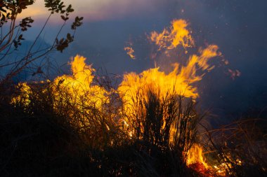 Kurak mevsimde duman ve alevler kuru saman yakıyordu..