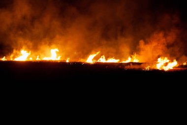 Bölge kurak, sudan yoksun, toprak çatlamış ve çökme ve aşınma izleri var..