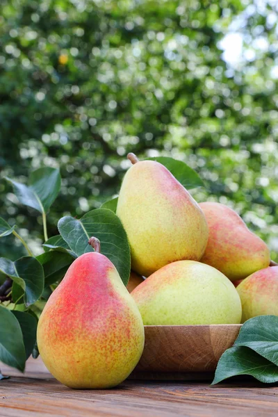 Ripe pears on a table in the garden — Stock Photo, Image