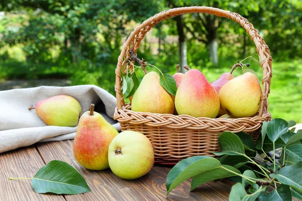 Ripe pears on a table in the garden — Stock Photo, Image