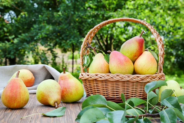 Ripe pears on a table in the garden — Stock Photo, Image