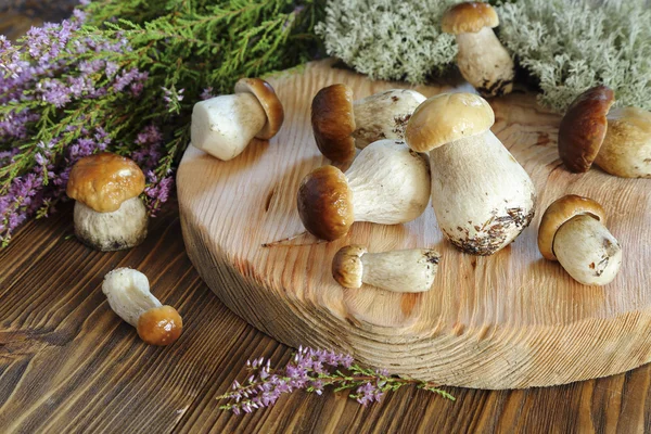 Ceps sur une planche à découper — Photo