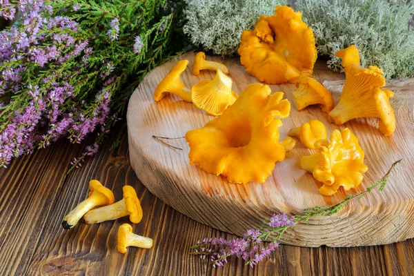 Chanterelle mushrooms on a cutting board — Stock Photo, Image