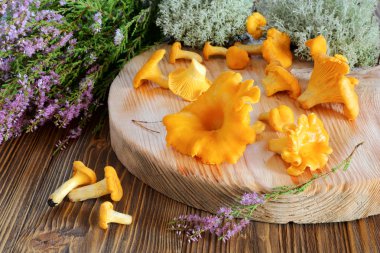 Cantharellus cibarius mantar kesme tahtası 