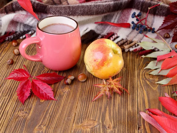 Bodegón de otoño con una taza de cacao . — Foto de Stock