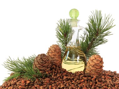 Sedir kozalakları, fındık ve beyaz arka plan üzerinde izole sedir fındık yağı