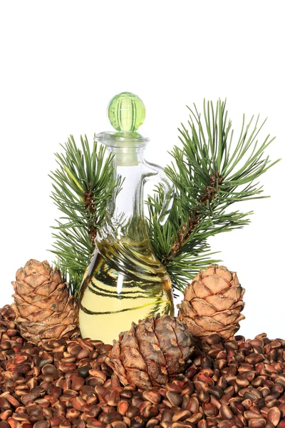 Cedar cones, nuts and cedar nut oil isolated on white background — Stock Photo, Image