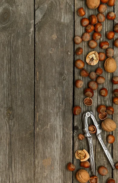 Hazelnoten, walnoten en Notenkraker op grijze houten achtergrond. — Stockfoto