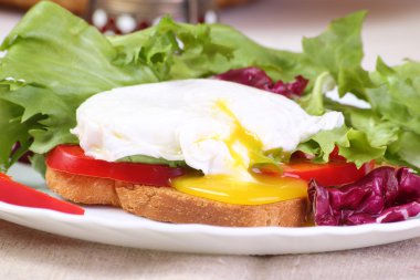 Kızarmış ekmek ve salata, yakın çekim ile haşlanmış yumurta