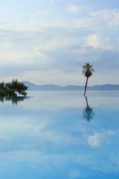 Yüzme Havuzu plaj ve palmiye ağaçları — Stok fotoğraf