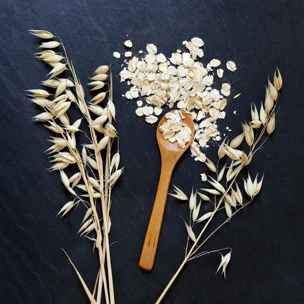 Avena e spighe di avena, arrotolate — Foto Stock