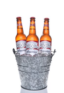Budweiser Amerika şişe buz kovası