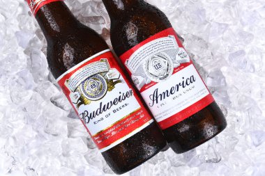 Amerika ve geleneksel Bud şişeler