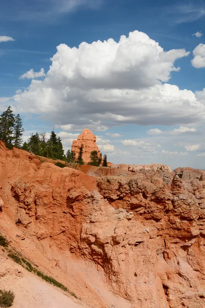 Bryce Canyon Nemzeti Park — Stock Fotó