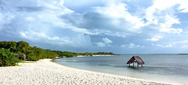 Hotel Melia Buenavista Beach Cuba — Foto Stock