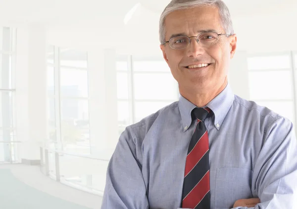 Escritório do empresário Retrato — Fotografia de Stock