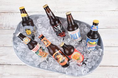Zanaat bira buz kovası
