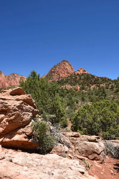 Kolob Canyons Táj Zion Nemzeti Parkban Park Északnyugati Sarkában Keskeny — Stock Fotó