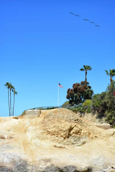 Pelicanen Zweven Boven Kliffen Bij Recreatiepunt Laguna Beach Californië — Stockfoto