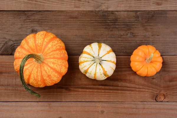 Verschillende decoratieve pompoenen — Stockfoto