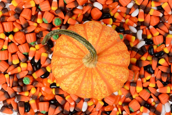 Pumpkin Halloween Candy — Stock Photo, Image