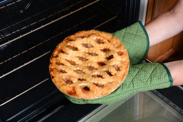 Tomando torta de maçã do forno — Fotografia de Stock