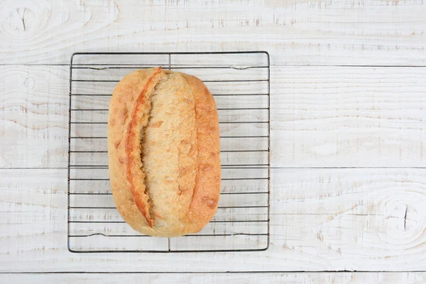 Хлеб на холодильной полке — стоковое фото