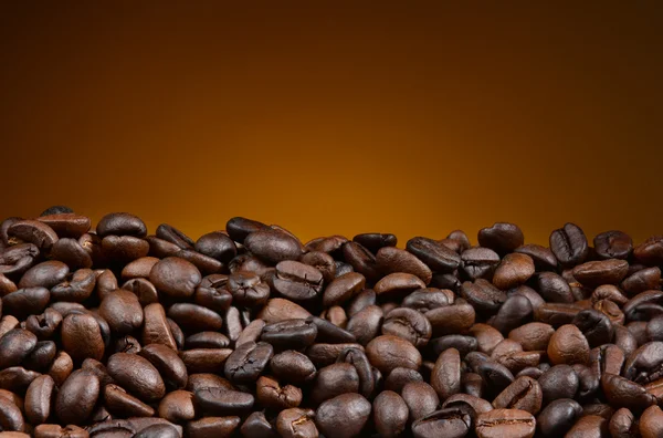 Coffee bean close seup — стоковое фото