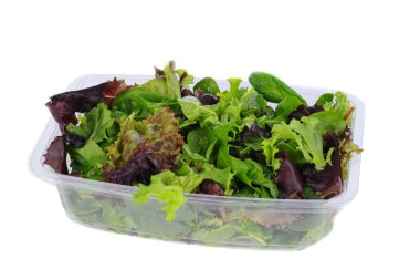 Plastik küvet taze yeşillik