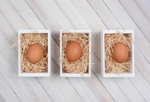 Jaja w drewnianych skrzyniach — Zdjęcie stockowe