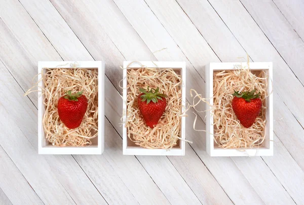 Erdbeeren in Kisten — Stockfoto
