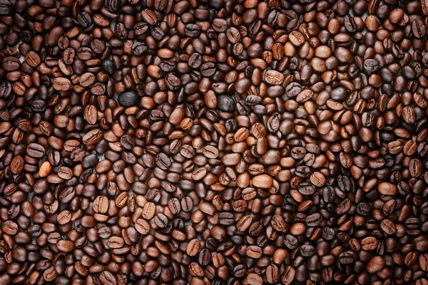 Kaffebönor fylla ramen — Stockfoto