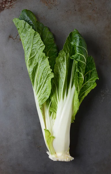 Bok Choy — Foto de Stock