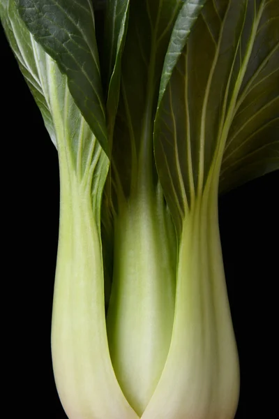 Bébé bok choy — Photo