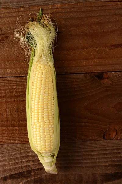 Single Ear of Corn — Stock Photo, Image