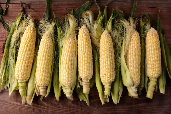 Fresh Picked Corn on the Cob — Stock Photo, Image