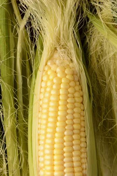 Corn on the Cob Closeup — Stock Photo, Image