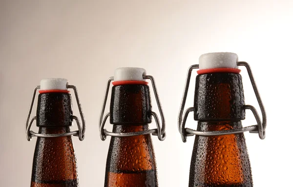 Swing Top Beer Bottles — Stock Photo, Image