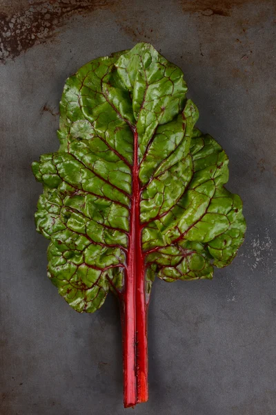 빨간 chard 잎 — 스톡 사진