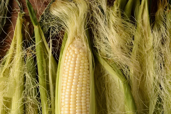 Corn on the Cob Horizontal — Stock Photo, Image