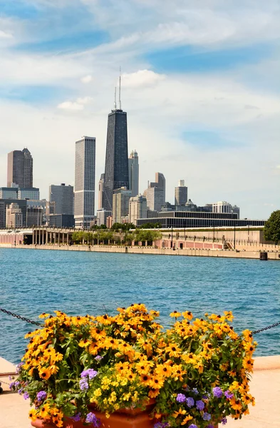 Chicago skyline van navy pier — Stockfoto