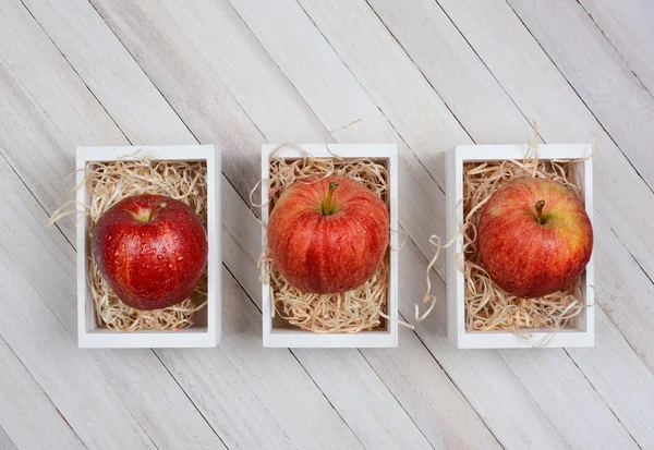Gala Apples in Mini Crates — Stock Photo, Image