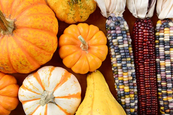 Melony, rosliny basztanowe Indian Corn wypełnienie ramki — Zdjęcie stockowe