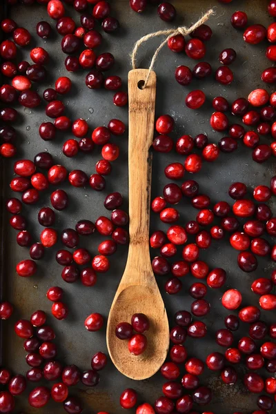 Cranberries και ξύλινο κουτάλι — Φωτογραφία Αρχείου