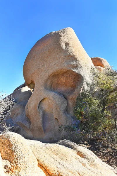 Koponya Rock Joshua Tree — Stock Fotó