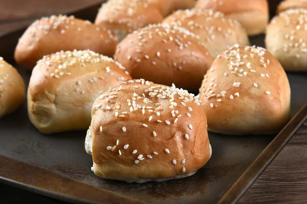 Fresh Baked Sesame Seed Dinner Rolls — Stock Photo, Image