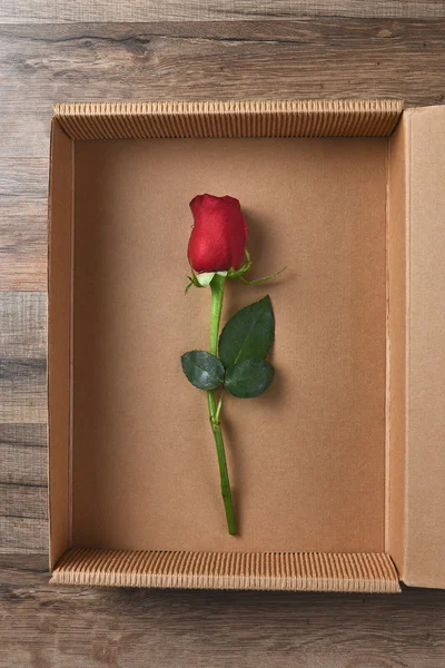 Caja de rosa roja única — Foto de Stock